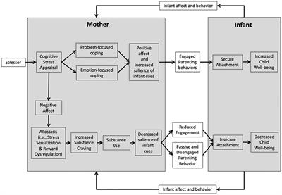 An Integrated Mechanistic Model of Mindfulness-Oriented Recovery Enhancement for Opioid-Exposed Mother–Infant Dyads